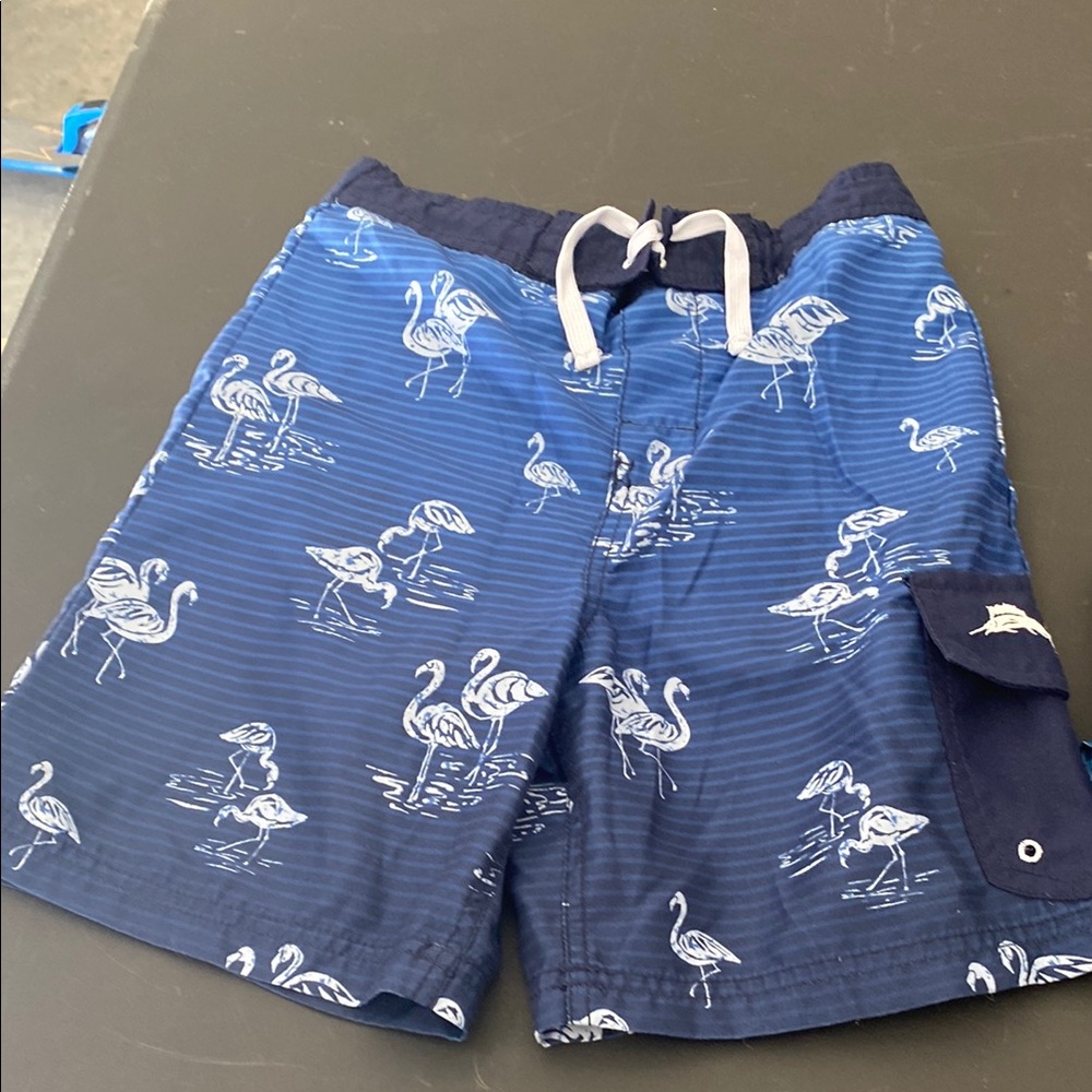 Blue Flamingo Swim Shorts
